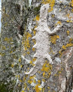 Kasepuu tüvi, millele on savist meisterdatud kameeleon