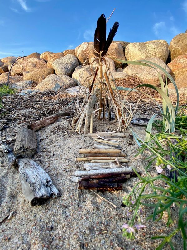 Mereranna leidudest kaunis kompositsioon