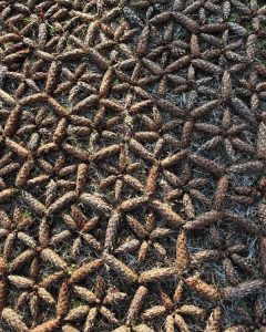 Mandala, mis on tehtud käbidest