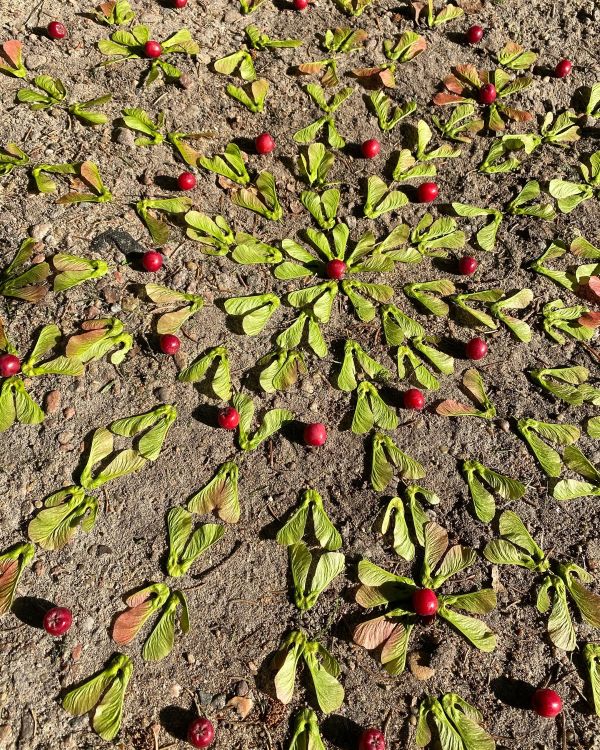 Punastest marjadest ja rohelistest lehtedest tehtud mandala