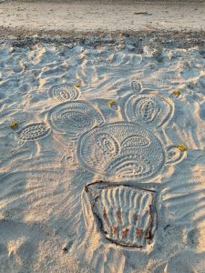 Liivale joonistatud potis kasvav kaktus