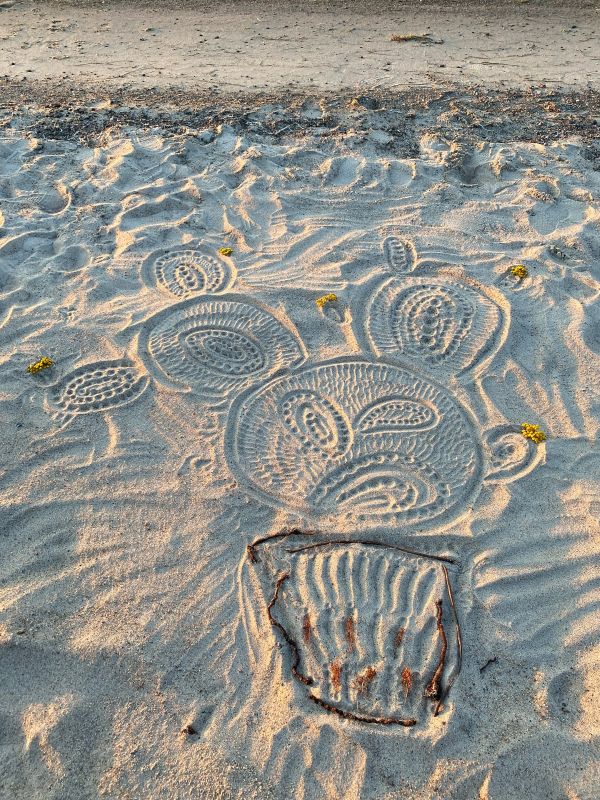 Liivale joonistatud potis kasvav kaktus