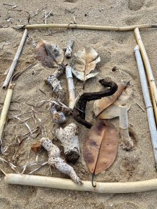 Puidust raamiga ruut, mis asetseb liival ja on kaetud kuivanud lehtede ja mereäärsete leidudega