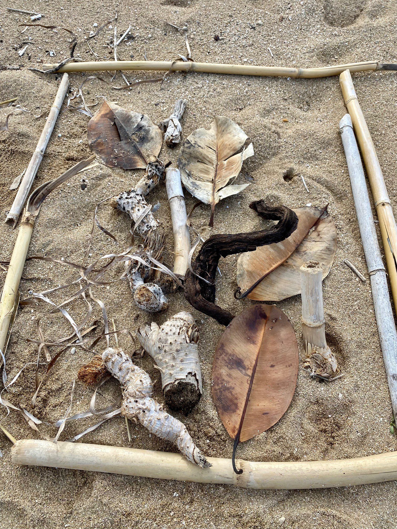 Puidust raamiga ruut, mis asetseb liival ja on kaetud kuivanud lehtede ja mereäärsete leidudega