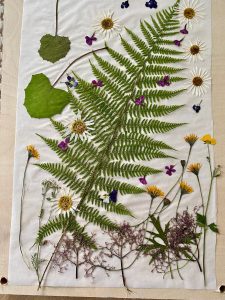 Valgel taustal olevate taimede ja õitega kollaaž, kus on näha erinevaid lehti ja taimi