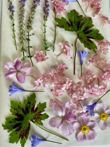 Valgel taustal mitmesuguseid lillasid ja roosasid õisi ning rohelisi lehti, mis on hajutatult mööda pinda laial