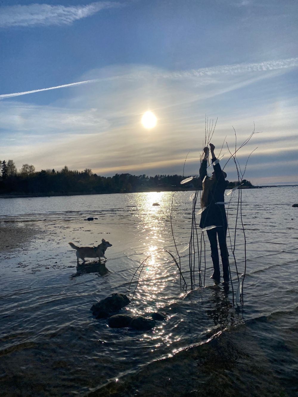 Looduskunstnik koos koeraga mererannas kompositsiooni seadmas