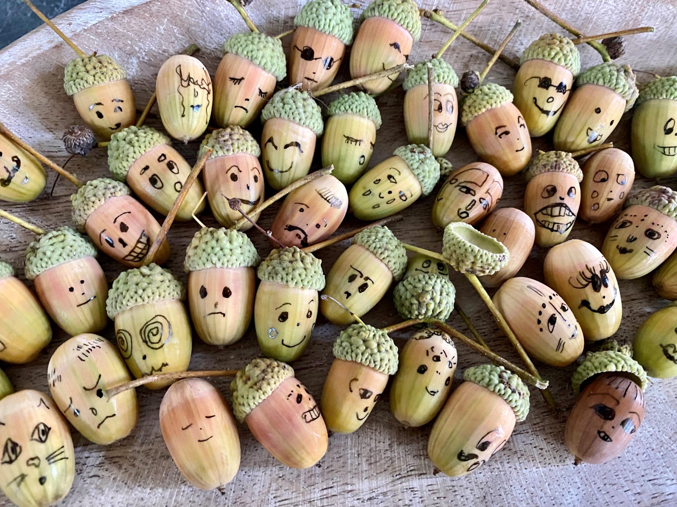 Rõõmsad tammetõrud mütside ja nägudega