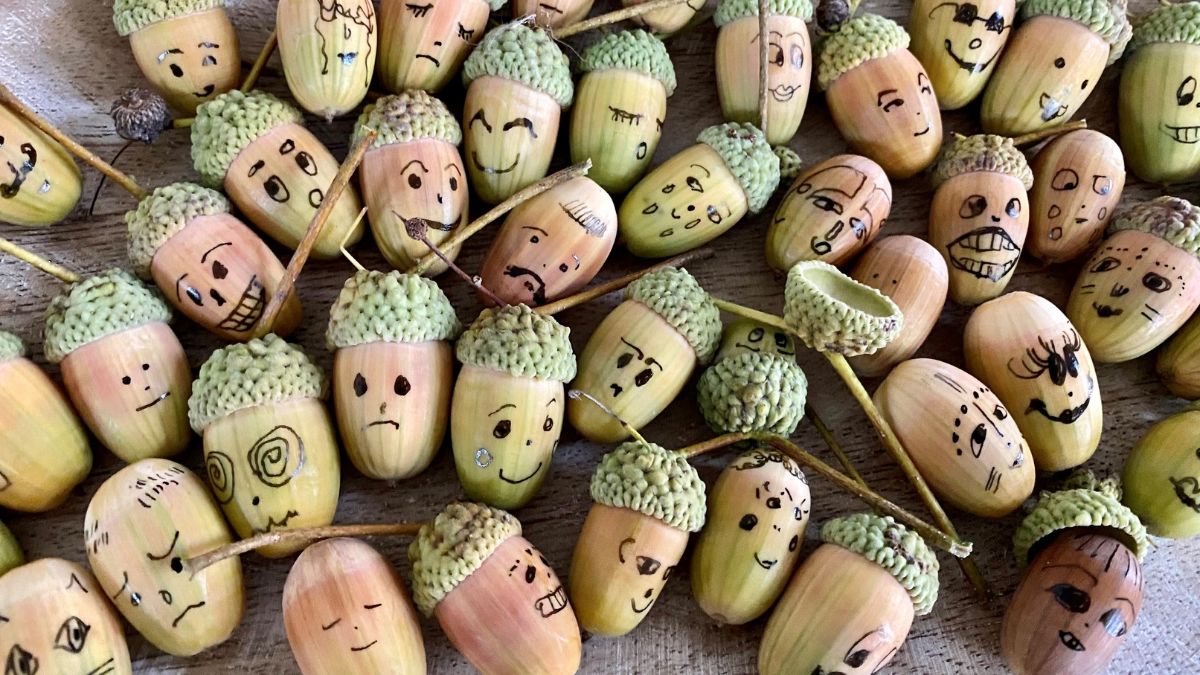 tammetõrudele on maalitud lõbusad naod