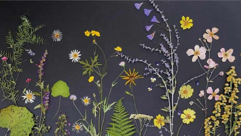 Pressitud lilledega kunstiteos